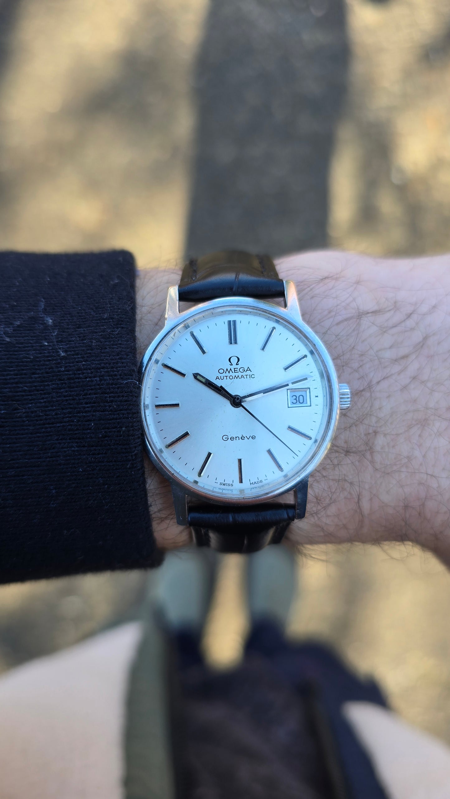 1973 Omega Geneve 166.0163