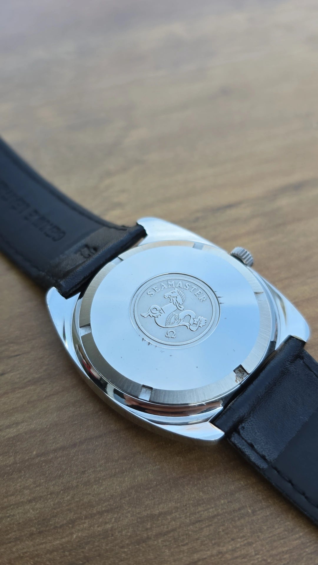 1972 Omega Seamaster 166.065