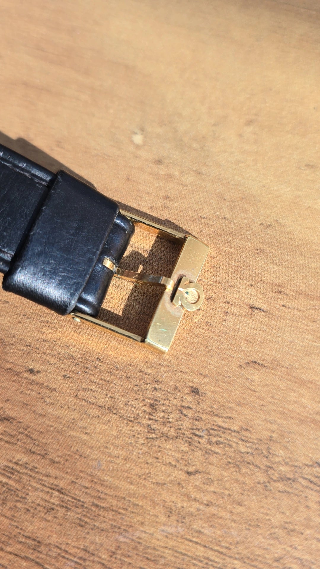 1973 Omega Geneve 166.0169