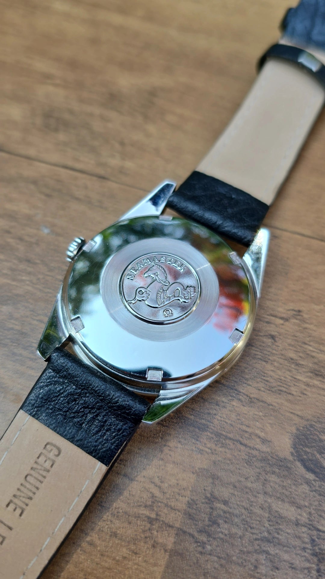 1967 Omega Seamaster 166.010-67